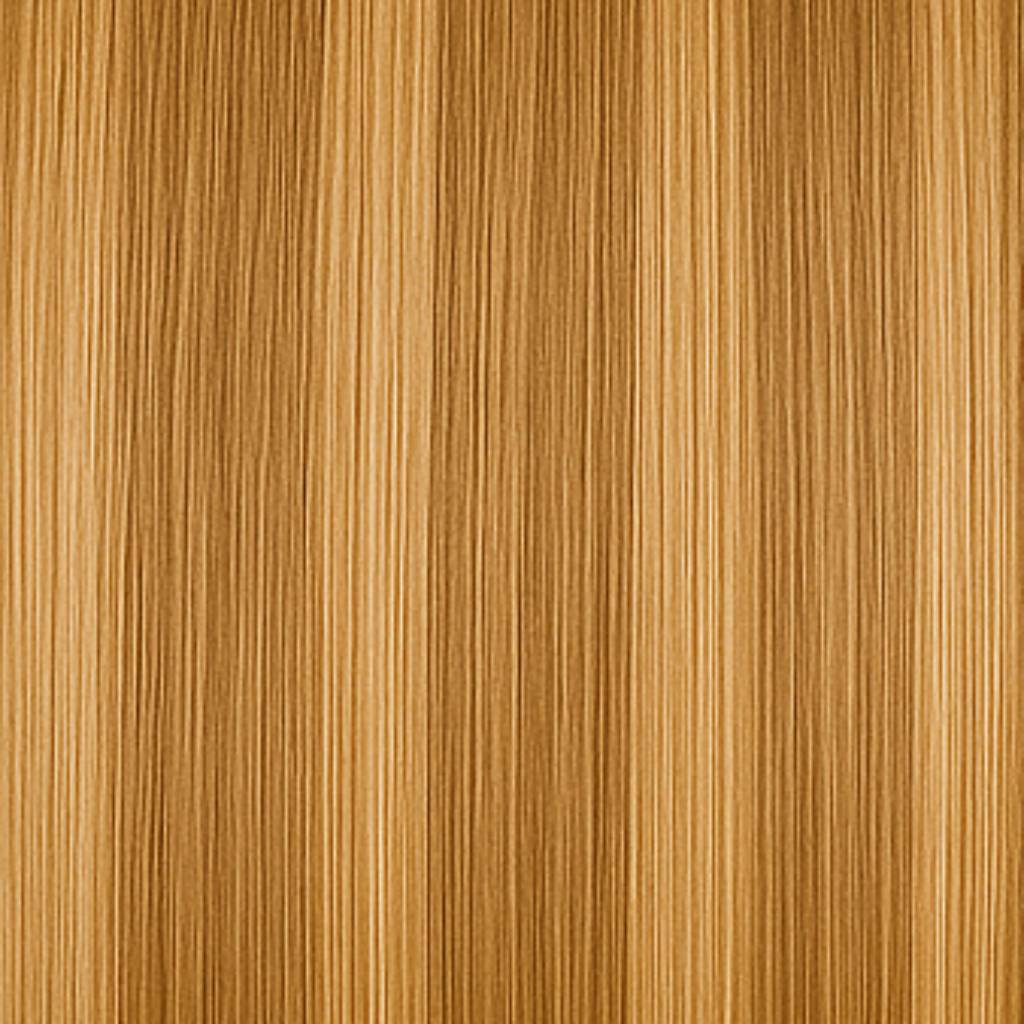 Tape In Hair Extensions Standard - 10B/12NA Sunkissed Beige